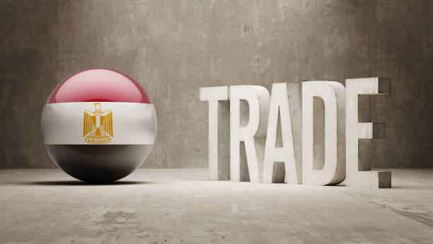 إجراءات القضاء التجاري المحلي: دليل التمثيل الناجح للشركات مع B2B