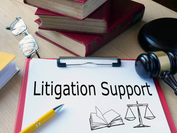 Litigation Lawyer | Expert Dispute Resolution Services B2B